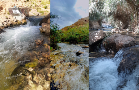 إسرائيل تعلن سيطرتها على أكبر محمية طبيعية في الضفة